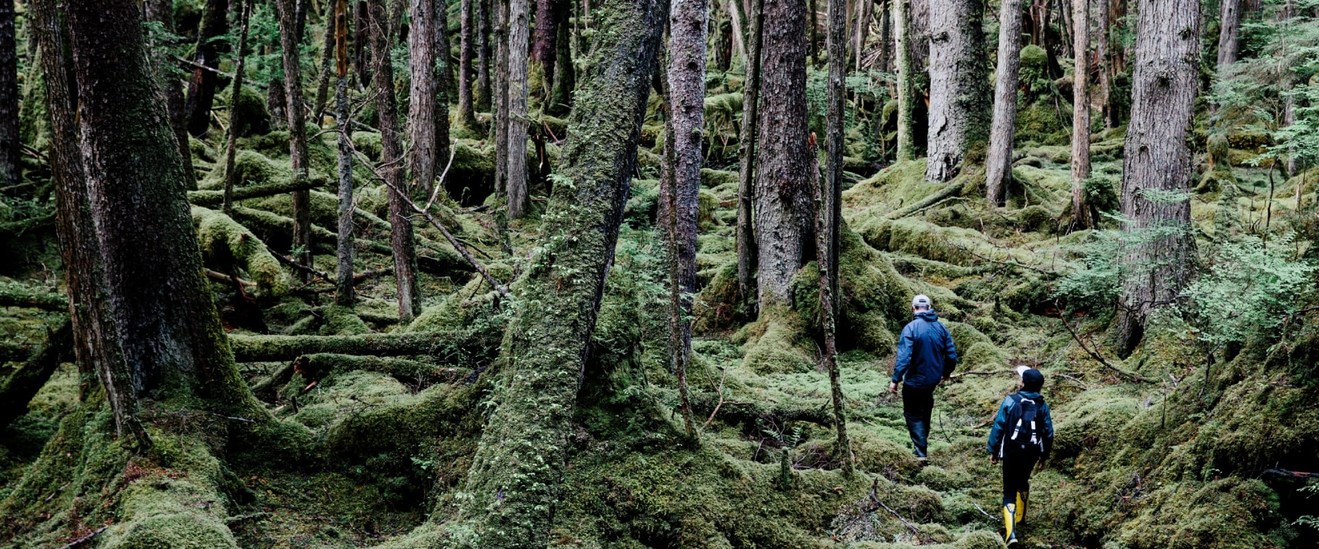 Top Hiking Trails in British Columbia: Explore the Best Outdoor Activities