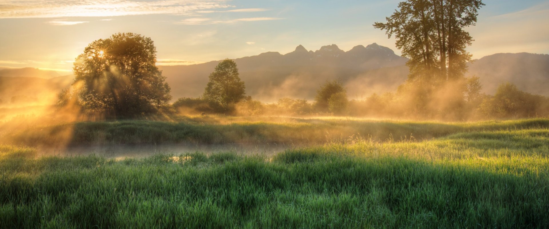 Exploring Government Programs for Small Businesses in British Columbia