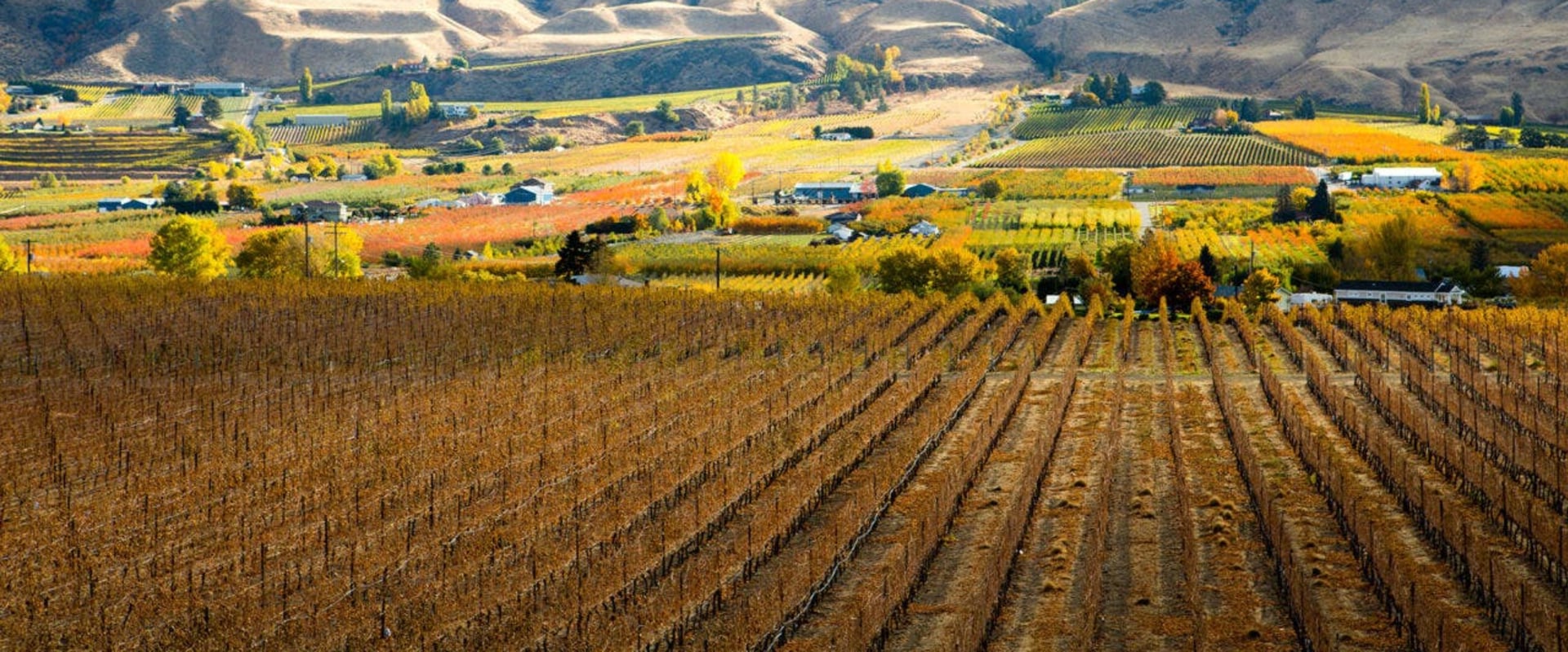 A Deep Dive into the Agriculture Industry in British Columbia