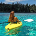 Top Hiking Trails in British Columbia: Explore the Best Outdoor Activities