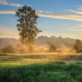 Exploring Government Programs for Small Businesses in British Columbia