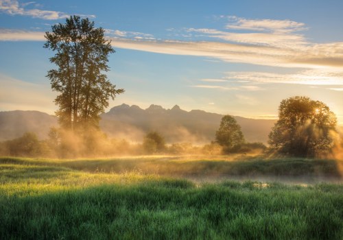 Exploring Government Programs for Small Businesses in British Columbia