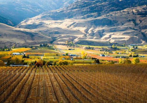 A Deep Dive into the Agriculture Industry in British Columbia